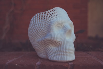 Anatomical Skull Model